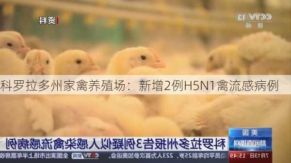 科罗拉多州家禽养殖场：新增2例H5N1禽流感病例