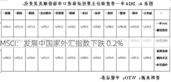 MSCI：发展中国家外汇指数下跌 0.2%