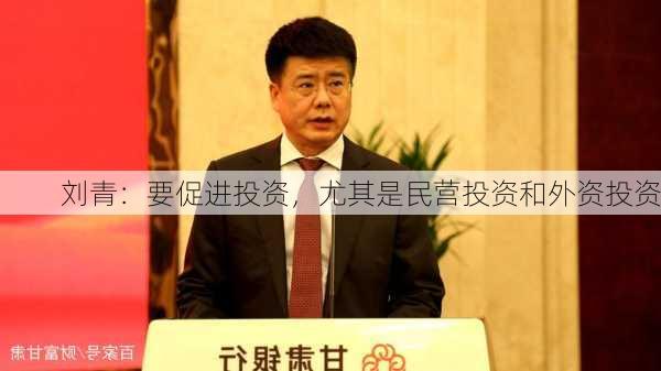 刘青：要促进投资，尤其是民营投资和外资投资