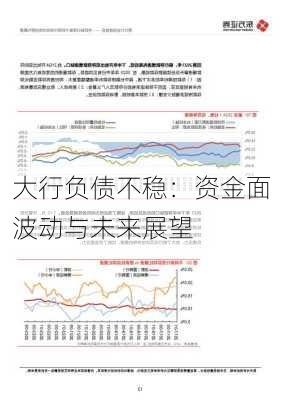 大行负债不稳：资金面波动与未来展望