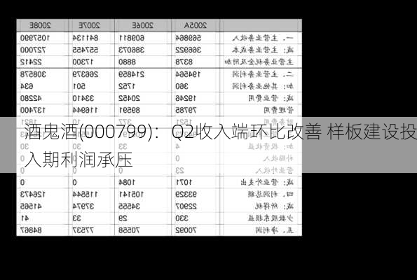 酒鬼酒(000799)：Q2收入端环比改善 样板建设投入期利润承压