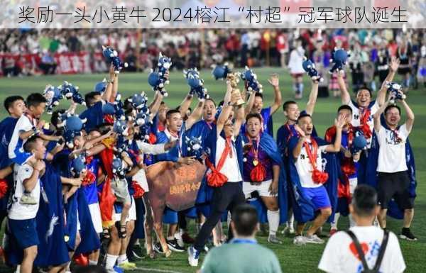 奖励一头小黄牛 2024榕江“村超”冠军球队诞生