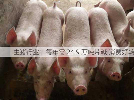 生猪行业：每年需 24.9 万吨片碱 消费好转