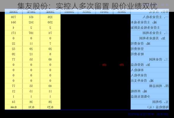 集友股份：实控人多次留置 股价业绩双忧