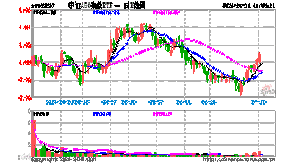 聚焦中国核心资产，汇聚细分行业龙头 中欧中证A50指数正在发行