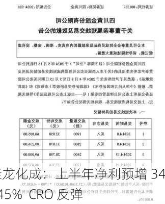 康龙化成：上半年净利预增 34%~45%  CRO 反弹