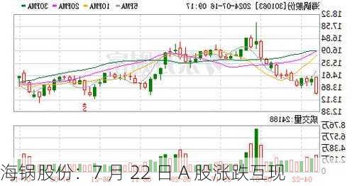 海锅股份：7 月 22 日 A 股涨跌互现