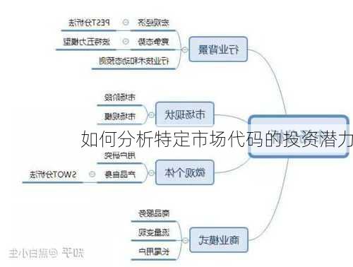 如何分析特定市场代码的投资潜力