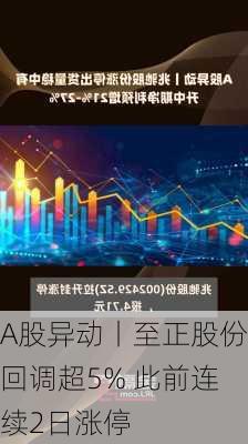 A股异动丨至正股份回调超5% 此前连续2日涨停