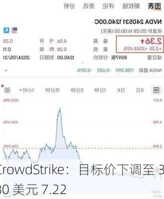 CrowdStrike：目标价下调至 380 美元 7.22