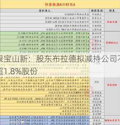 银宝山新：股东布拉德拟减持公司不超1.8%股份