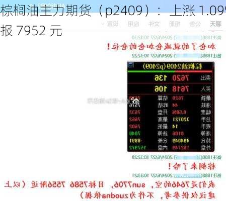 棕榈油主力期货（p2409）：上涨 1.09% 报 7952 元