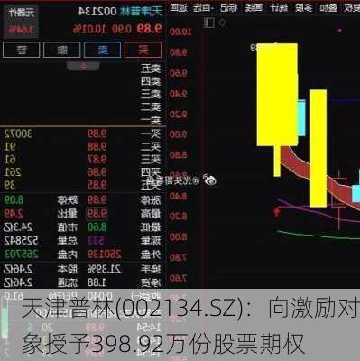 天津普林(002134.SZ)：向激励对象授予398.92万份股票期权