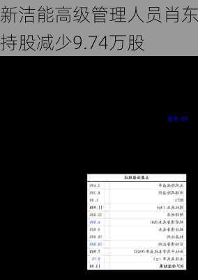 新洁能高级管理人员肖东戈持股减少9.74万股