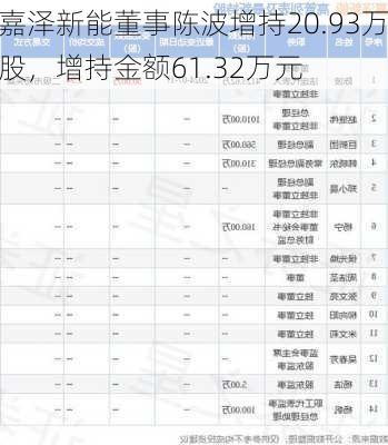 嘉泽新能董事陈波增持20.93万股，增持金额61.32万元