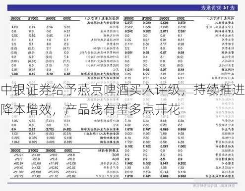 中银证券给予燕京啤酒买入评级，持续推进降本增效，产品线有望多点开花