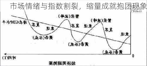 市场情绪与指数割裂，缩量成就抱团现象