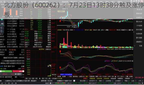 北方股份（600262）：7月23日13时38分触及涨停板