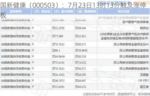 国新健康（000503）：7月23日13时13分触及涨停板