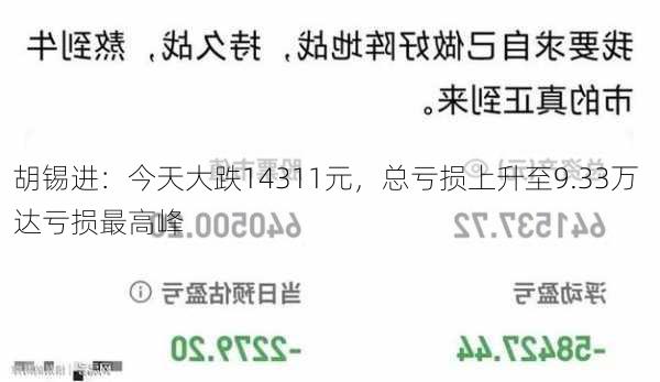 胡锡进：今天大跌14311元，总亏损上升至9.33万 达亏损最高峰