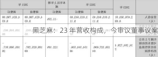 黑芝麻：23 年营收构成，今审议董事议案