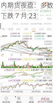 国内期货夜盘：多数品种下跌 7 月 23 日