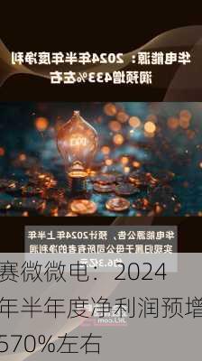 赛微微电：2024年半年度净利润预增570%左右