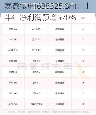 赛微微电(688325.SH)：上半年净利润预增570%