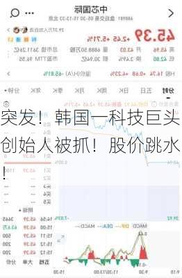 突发！韩国一科技巨头创始人被抓！股价跳水！