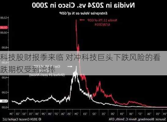 科技股财报季来临 对冲科技巨头下跌风险的看跌期权受到追捧