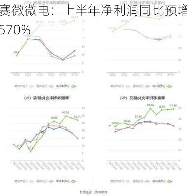 赛微微电：上半年净利润同比预增570%