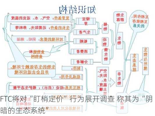 FTC将对“盯梢定价”行为展开调查 称其为“阴暗的生态系统”