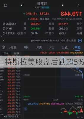 特斯拉美股盘后跌超5%