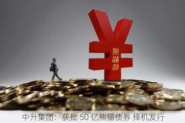 中升集团：获批 50 亿熊猫债券 择机发行