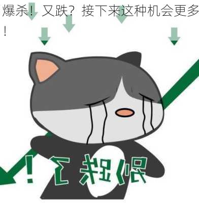 爆杀！又跌？接下来这种机会更多！