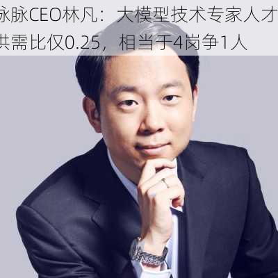 脉脉CEO林凡：大模型技术专家人才供需比仅0.25，相当于4岗争1人