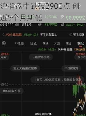 沪指盘中跌破2900点 创近5个月新低