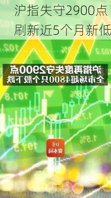 沪指失守2900点 刷新近5个月新低