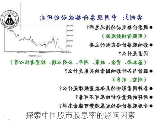 探索中国股市股息率的影响因素