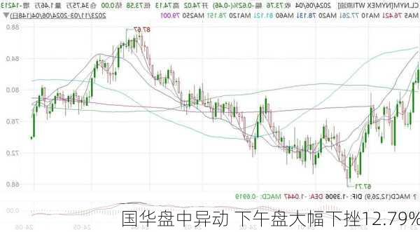 国华盘中异动 下午盘大幅下挫12.79%