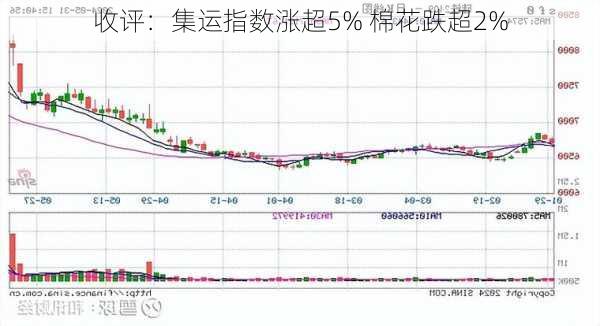 收评：集运指数涨超5% 棉花跌超2%