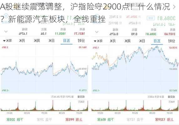 A股继续震荡调整，沪指险守2900点！什么情况？新能源汽车板块，全线重挫