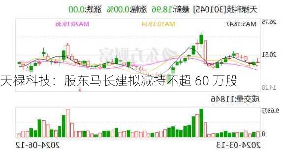 天禄科技：股东马长建拟减持不超 60 万股