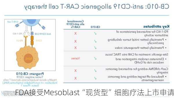 FDA接受Mesoblast“现货型”细胞疗法上市申请