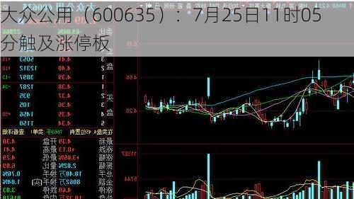 大众公用（600635）：7月25日11时05分触及涨停板