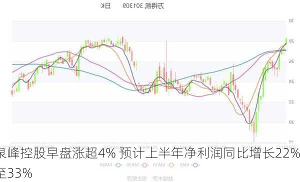 泉峰控股早盘涨超4% 预计上半年净利润同比增长22%至33%