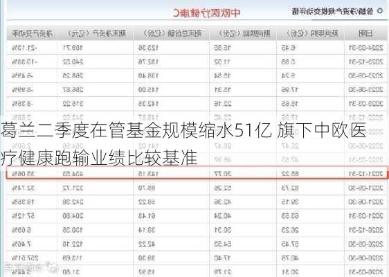 葛兰二季度在管基金规模缩水51亿 旗下中欧医疗健康跑输业绩比较基准