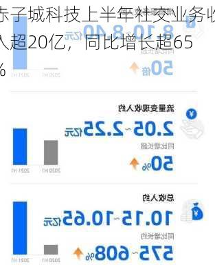 赤子城科技上半年社交业务收入超20亿，同比增长超65%