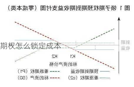 期权怎么锁定成本