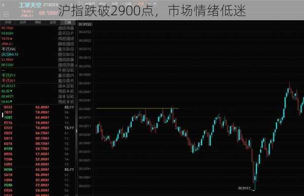 沪指跌破2900点，市场情绪低迷